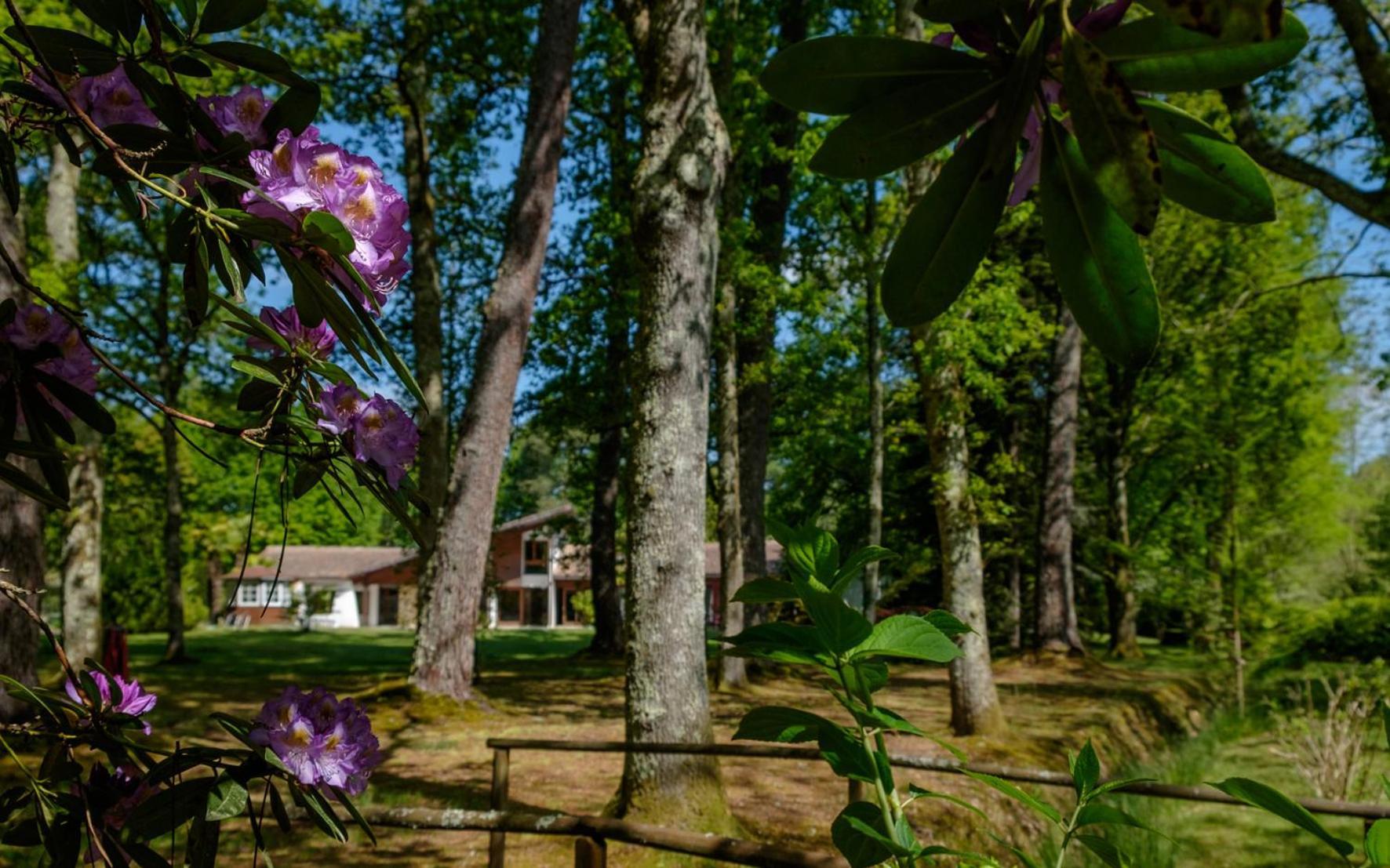 Saint-Paul-lès-Dax Parc De L'Aiguade B&B 외부 사진