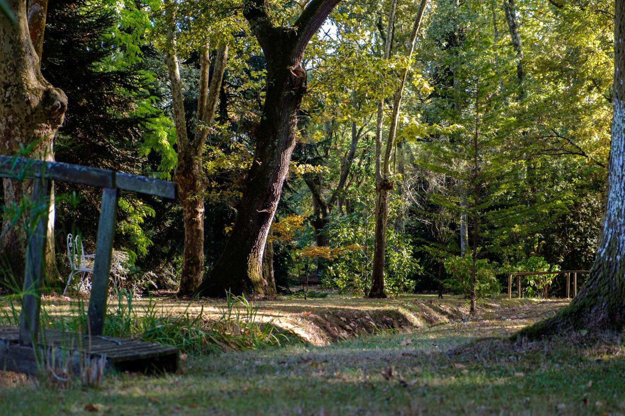 Saint-Paul-lès-Dax Parc De L'Aiguade B&B 외부 사진