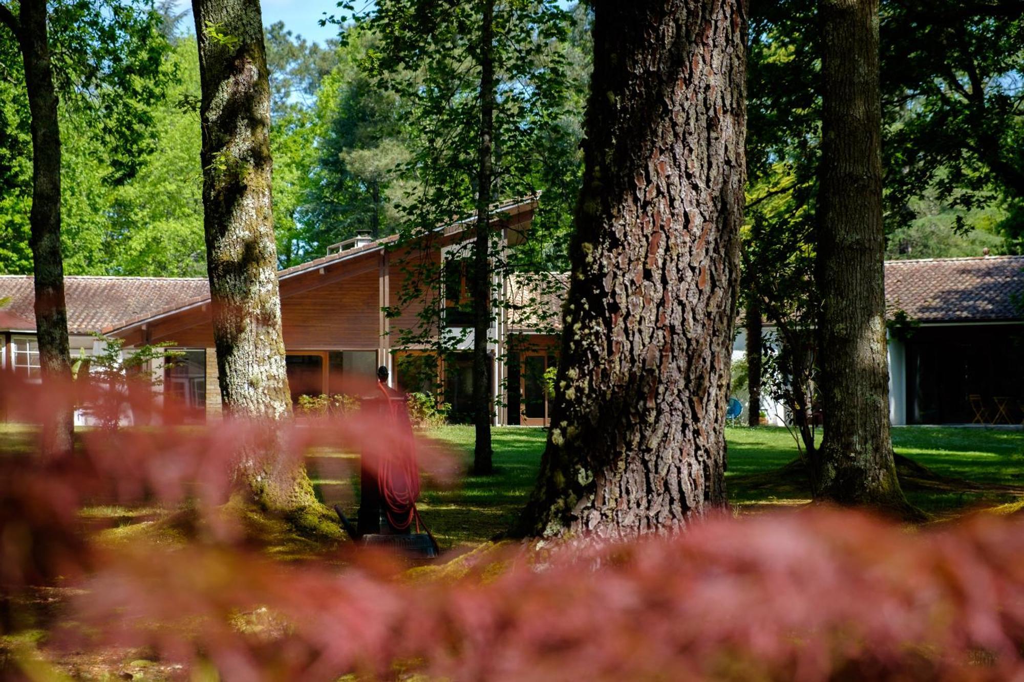 Saint-Paul-lès-Dax Parc De L'Aiguade B&B 외부 사진