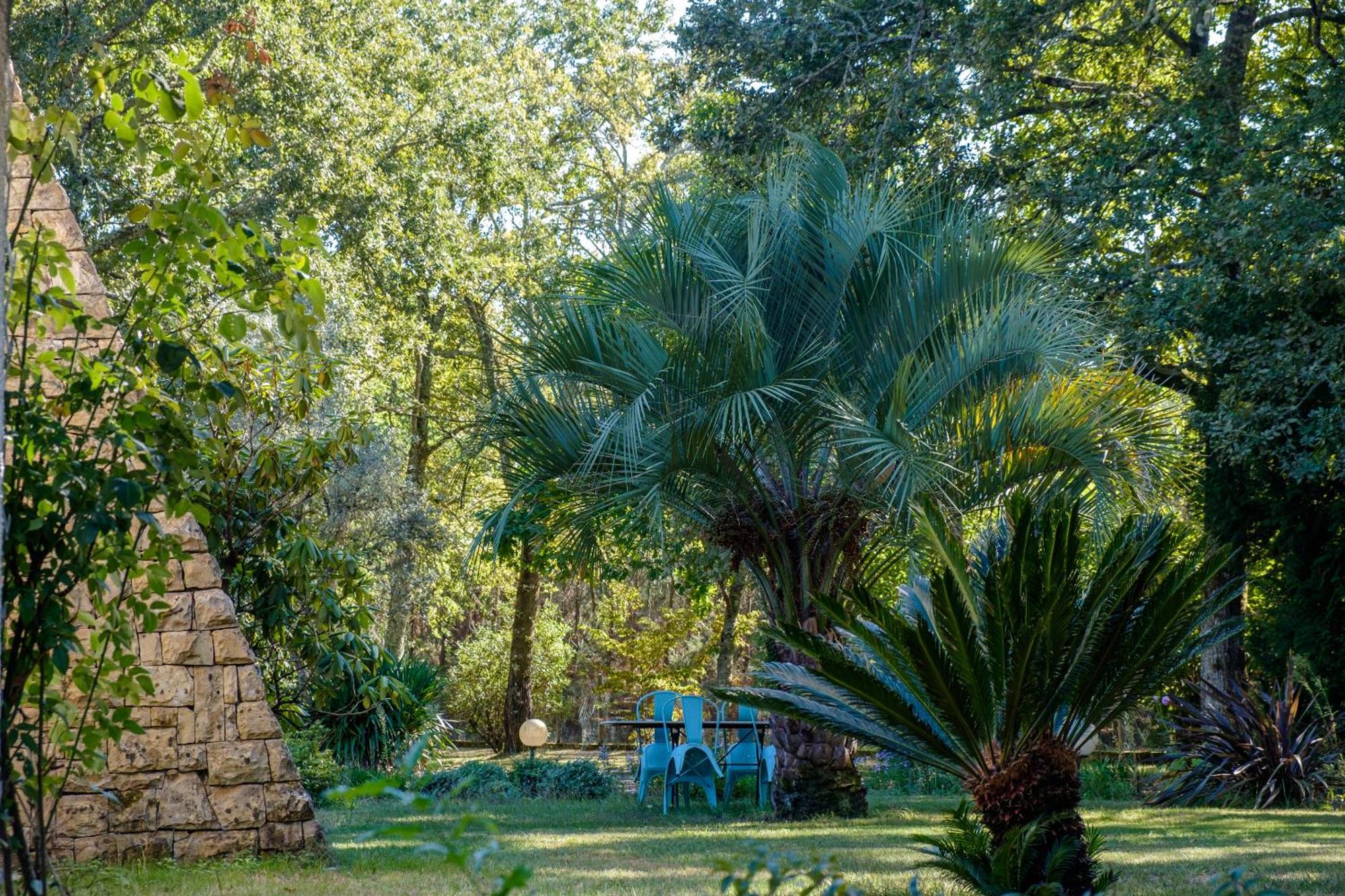 Saint-Paul-lès-Dax Parc De L'Aiguade B&B 외부 사진
