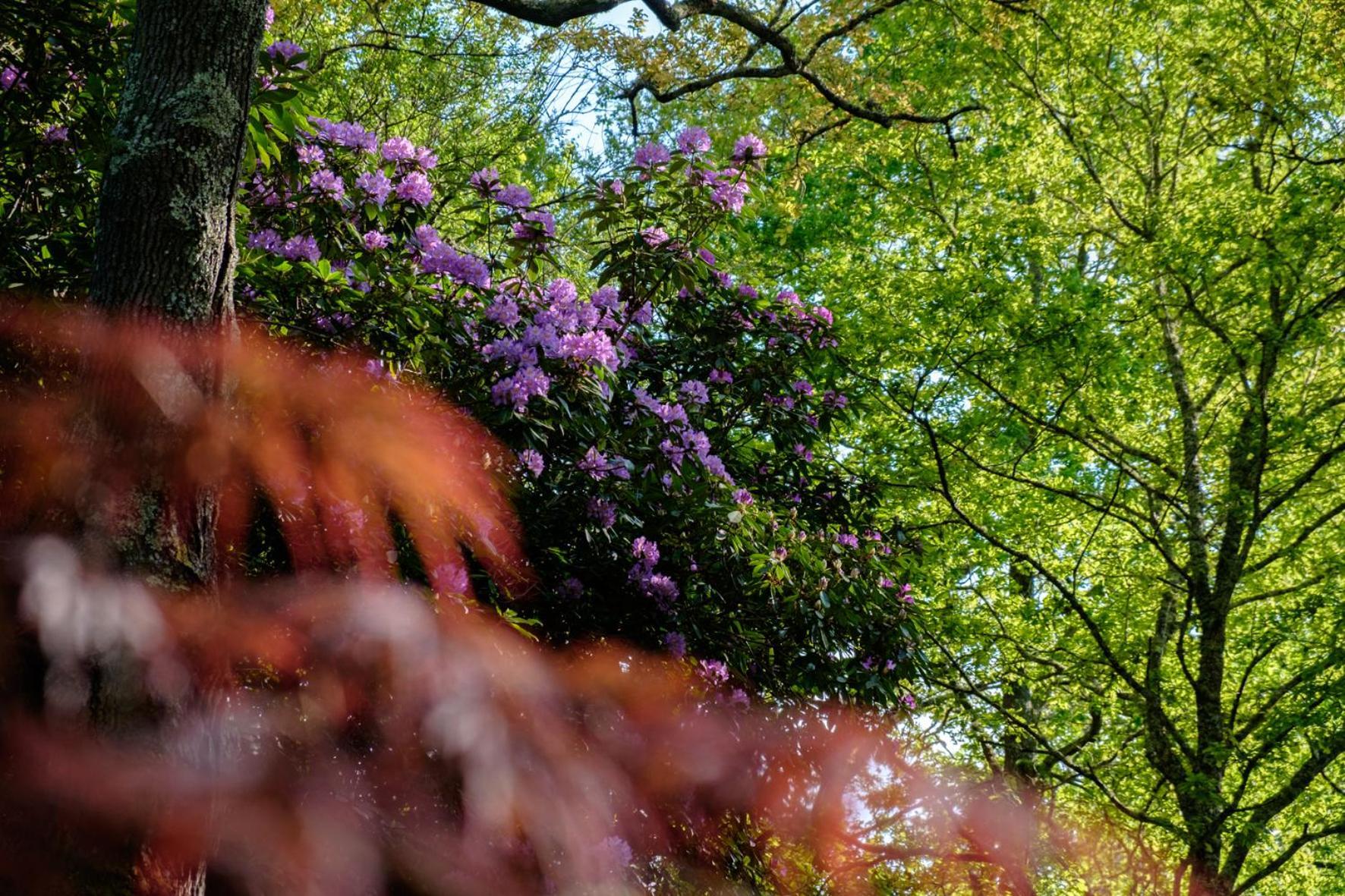 Saint-Paul-lès-Dax Parc De L'Aiguade B&B 외부 사진