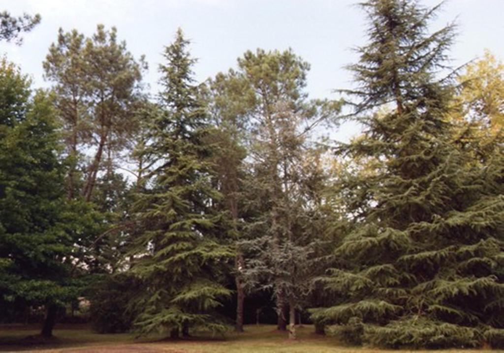 Saint-Paul-lès-Dax Parc De L'Aiguade B&B 외부 사진